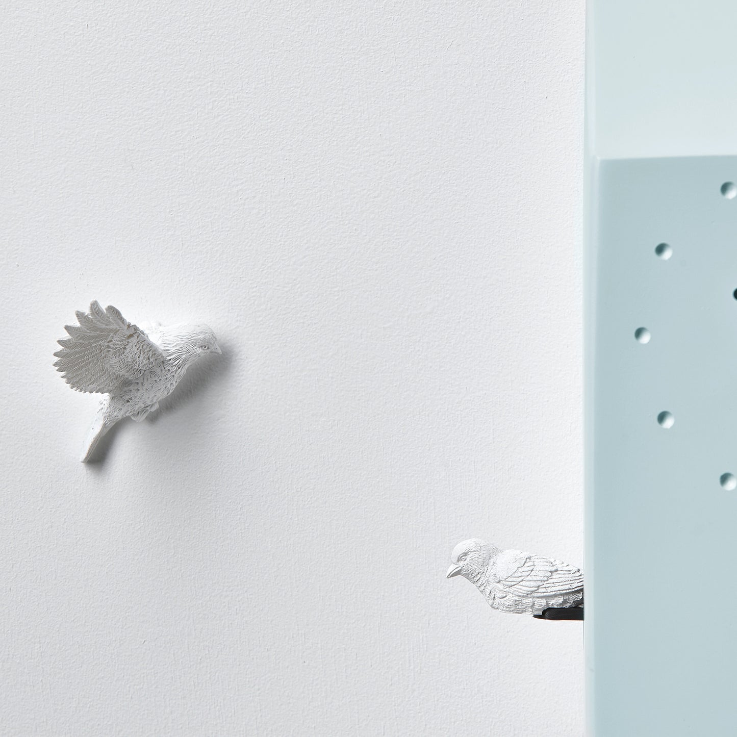 Cuckoo X CLOCK - Home (Available in 6 Colors)