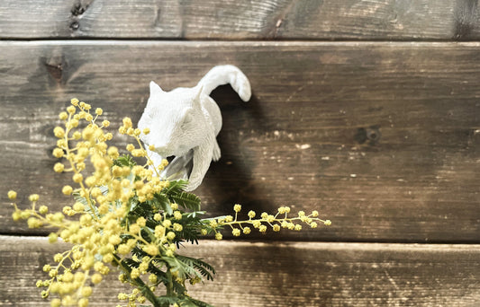 From the Moment We Met — At ama’s Home
