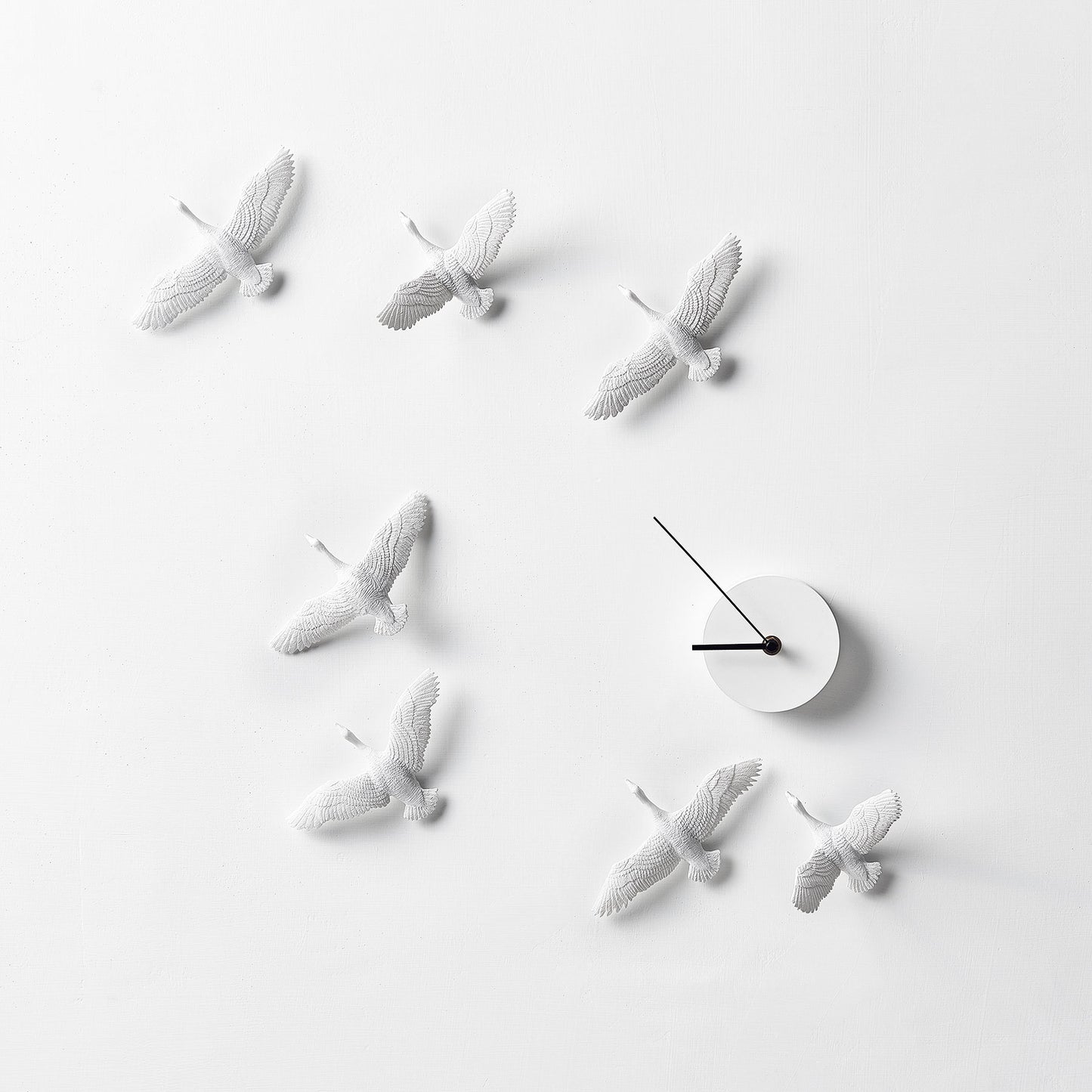 Migrantbird X CLOCK - C form