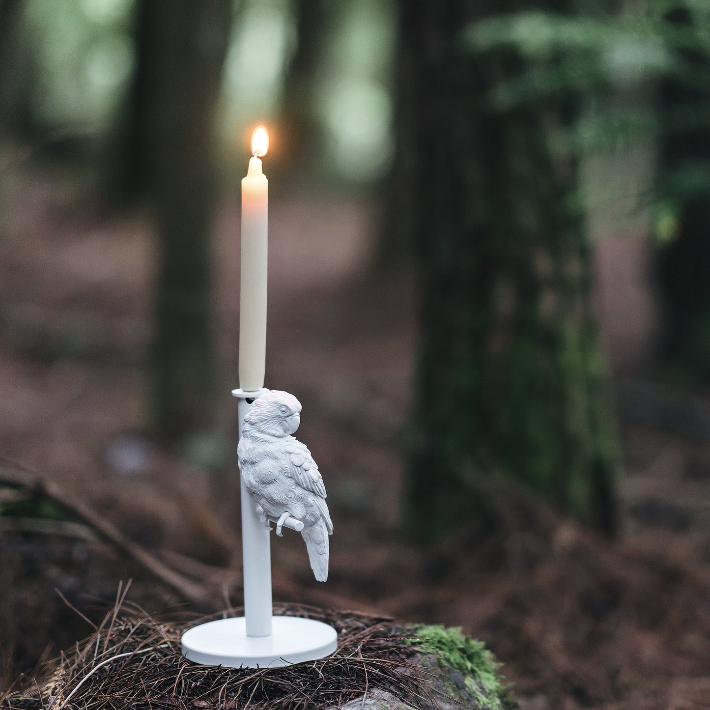 Parrot X Candle Holder - Single