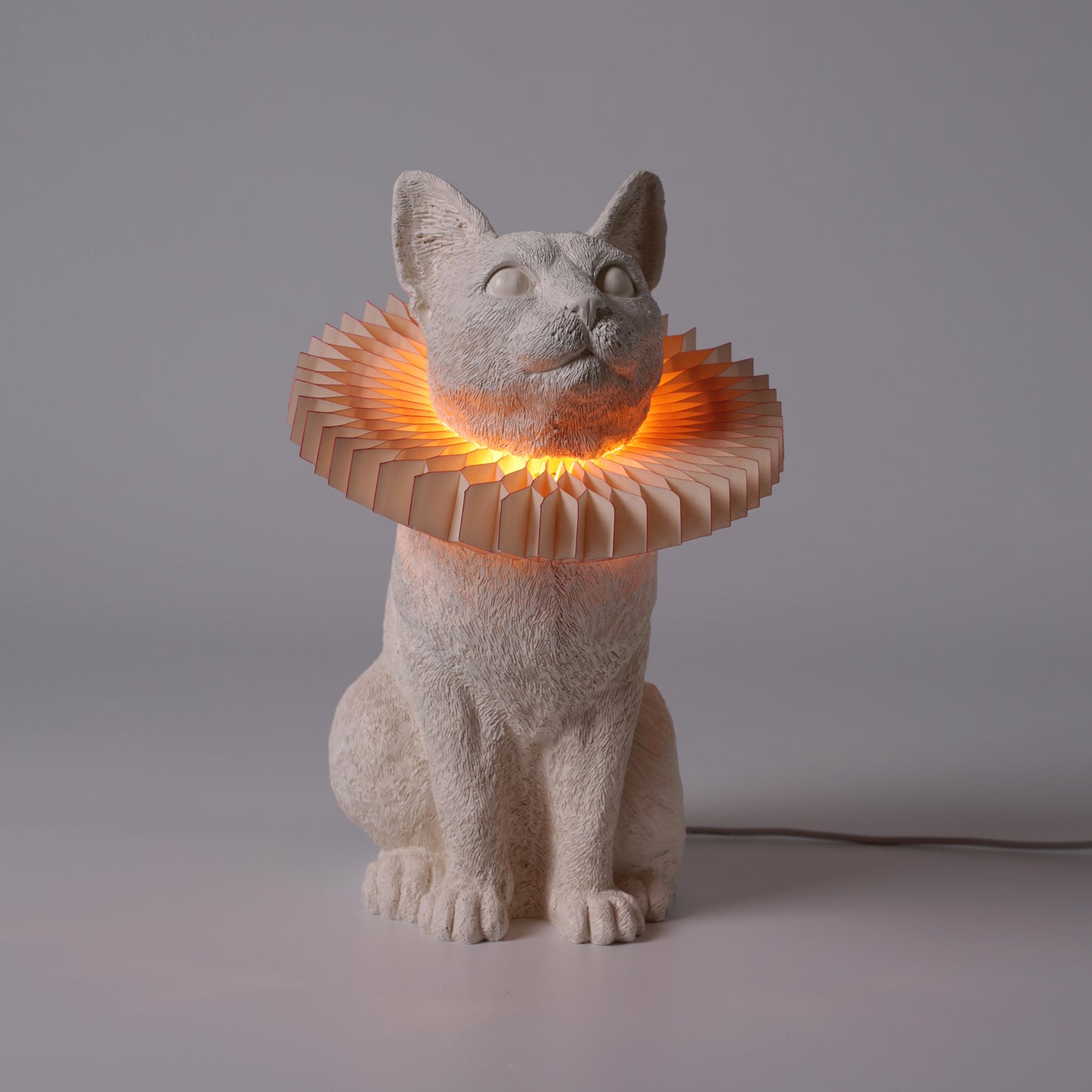 Cat X LAMP