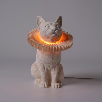 Cat X LAMP