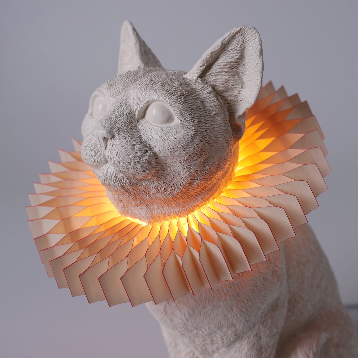 Cat X LAMP