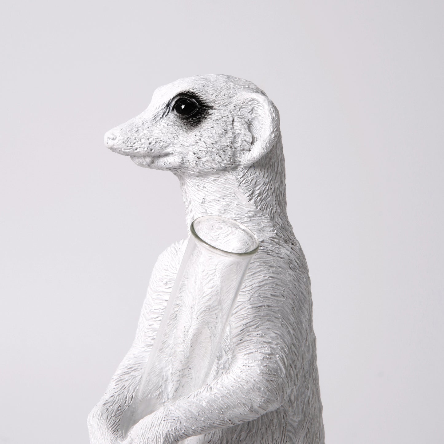 Meerkat Vase (Available in 2 Stylish Options)