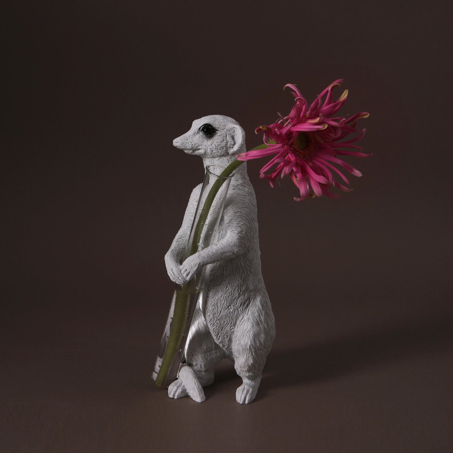 Meerkat Vase (Available in 2 Stylish Options)