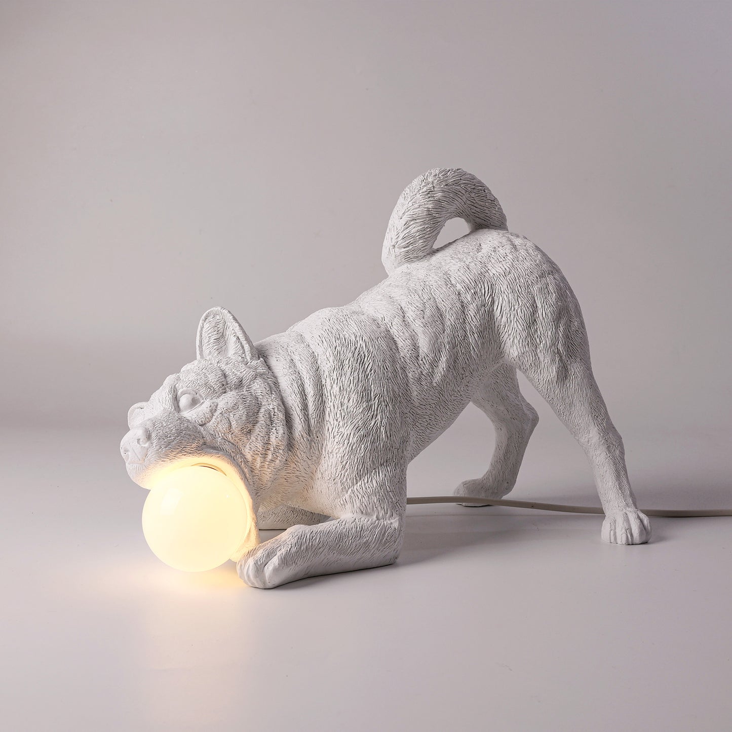 Playful dog X LAMP