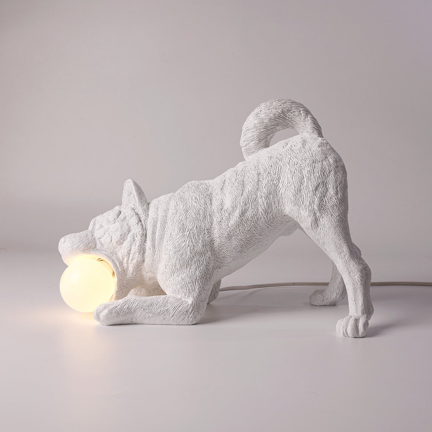 Playful dog X LAMP