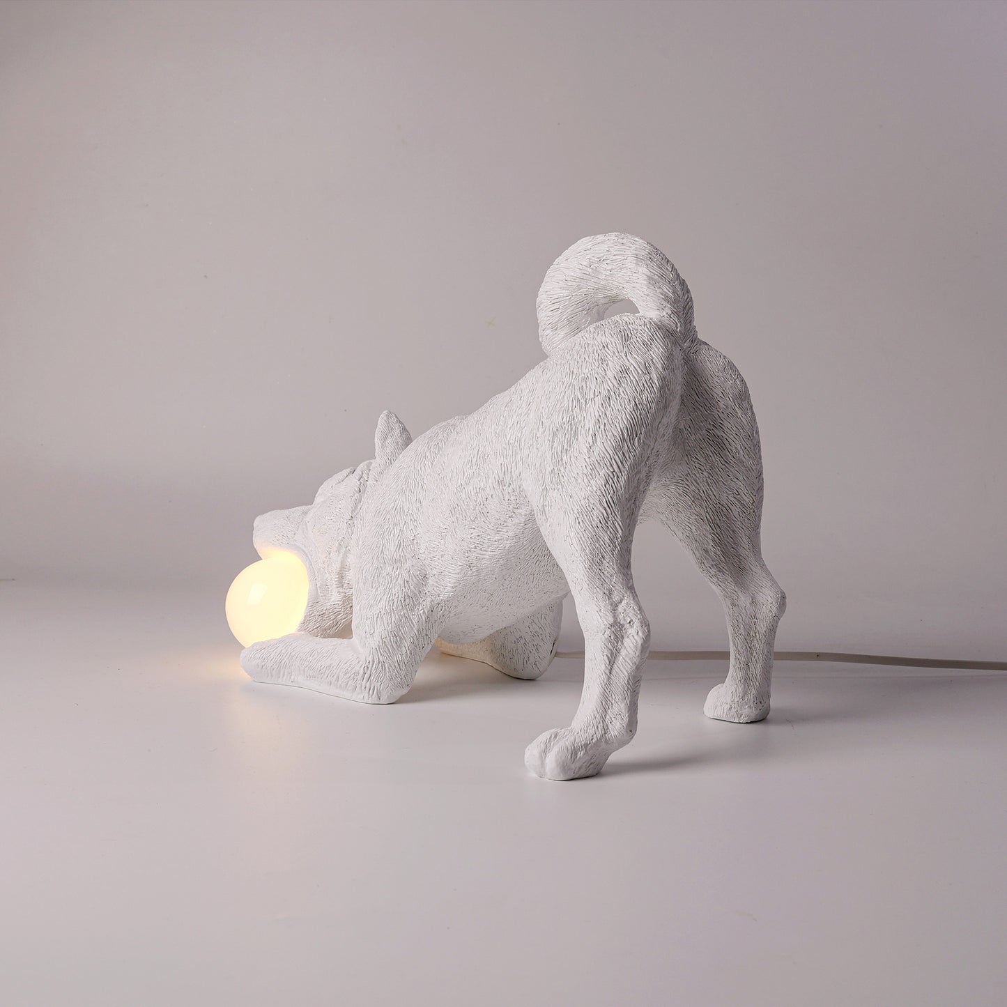 Playful dog X LAMP