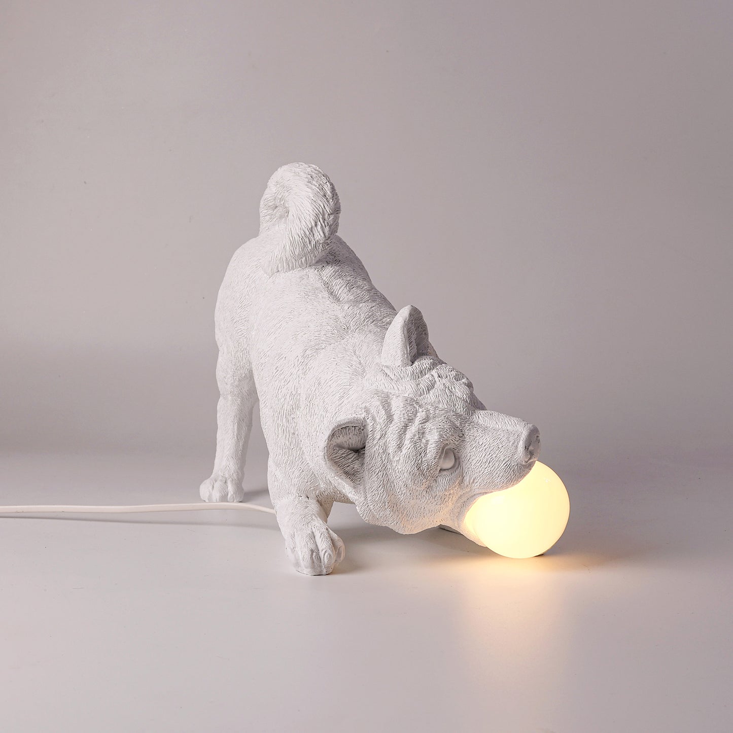 Playful dog X LAMP