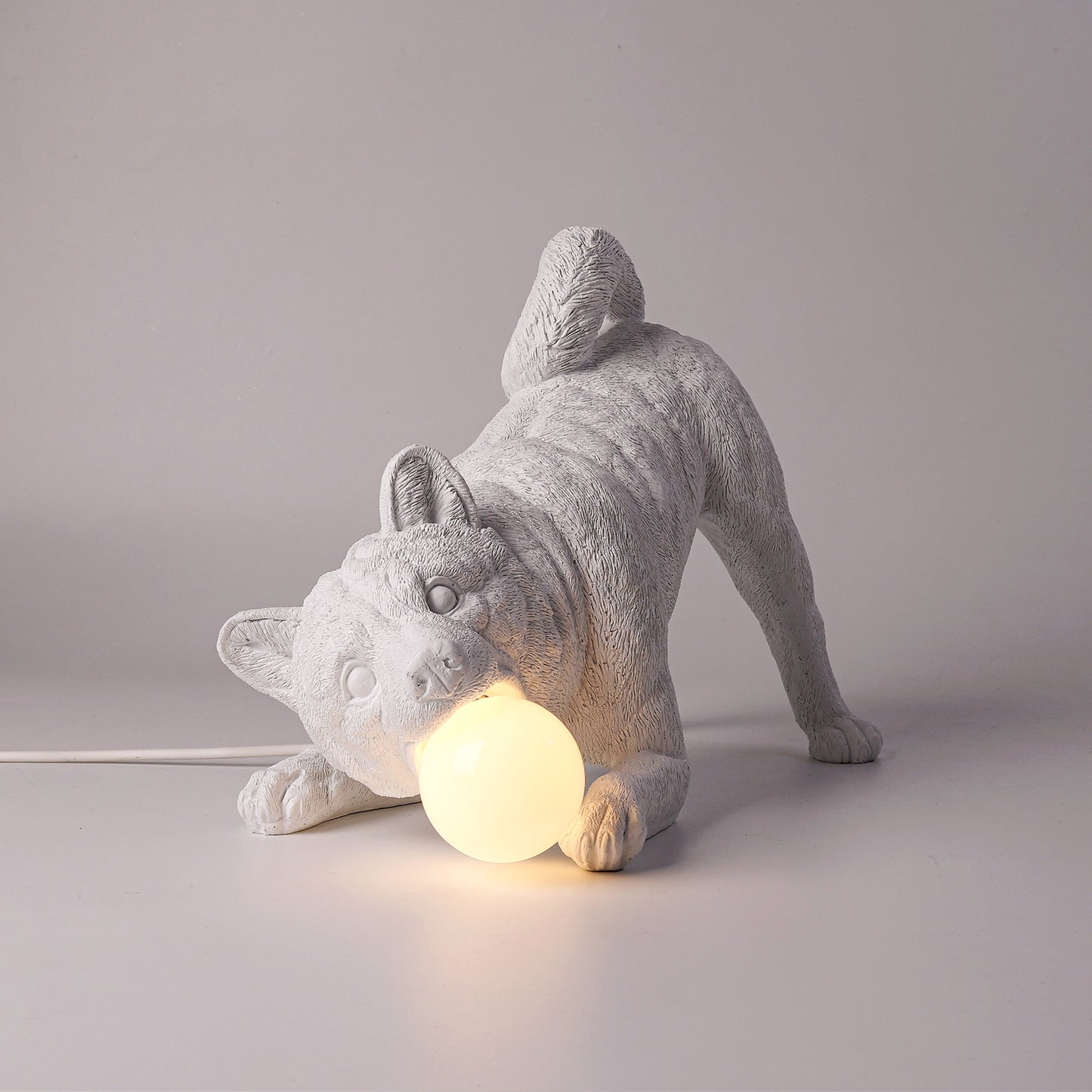 Playful dog X LAMP