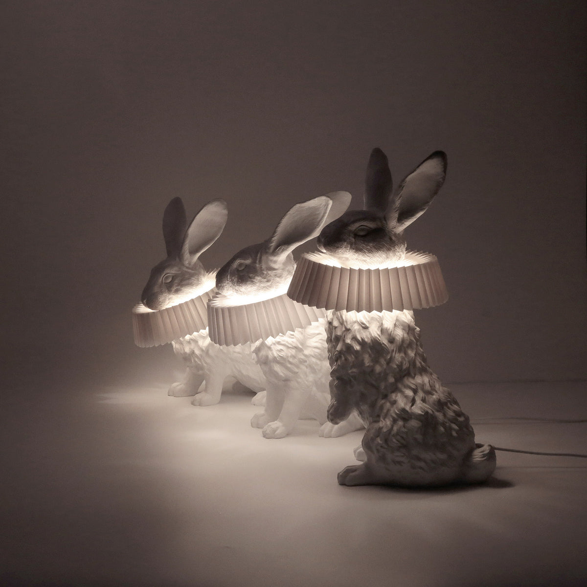 Rabbit X LAMP - Stand – haoshi